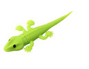 Cartoon USB Flash Drive Green Custom USB Memory Stick Gecko Shape